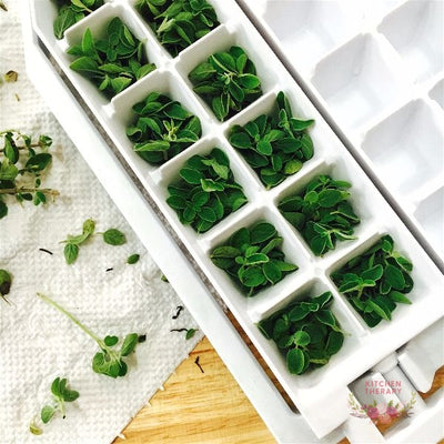 Freezing Fresh Herbs