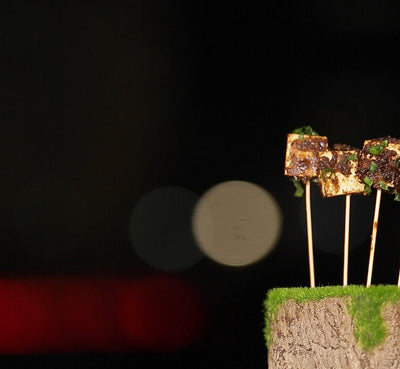 Paneer Peanut Satay [VIDEO]