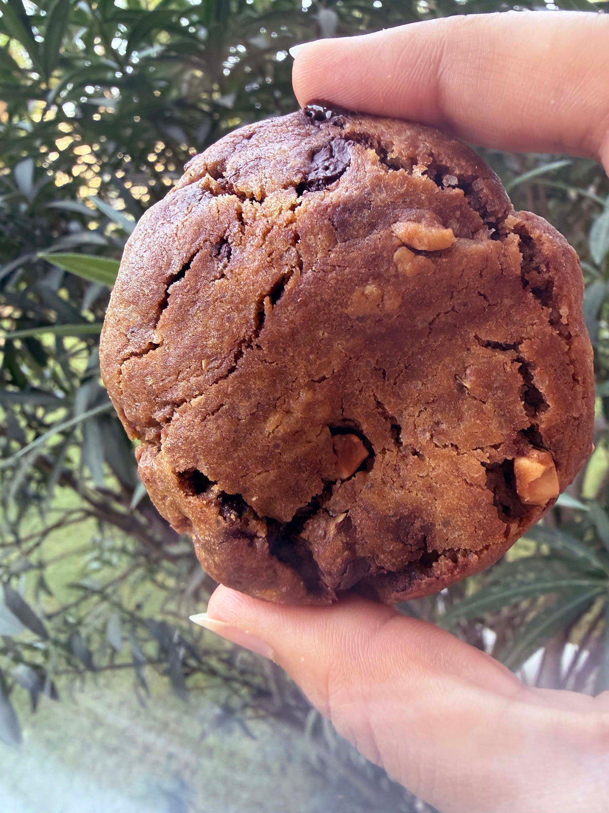 The Perfect Chocolate Chip Cookie
