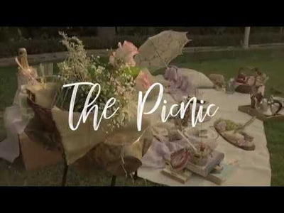 The Picnic (BTS)