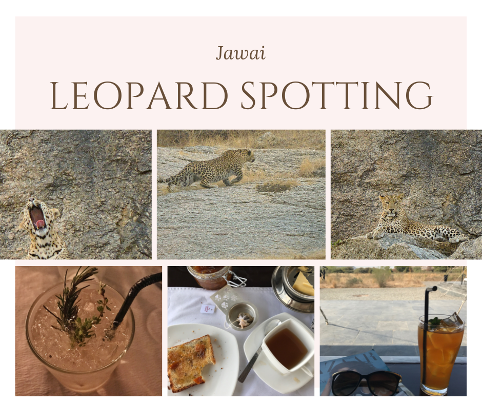Leopard Spotting